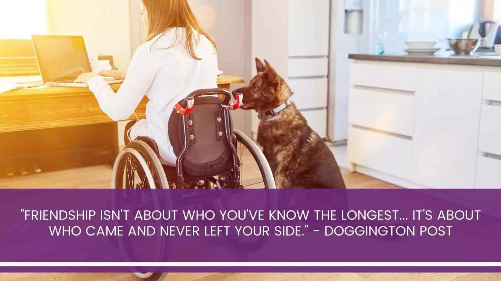 Feeling PawSome: Disability Care with the Help of Pets