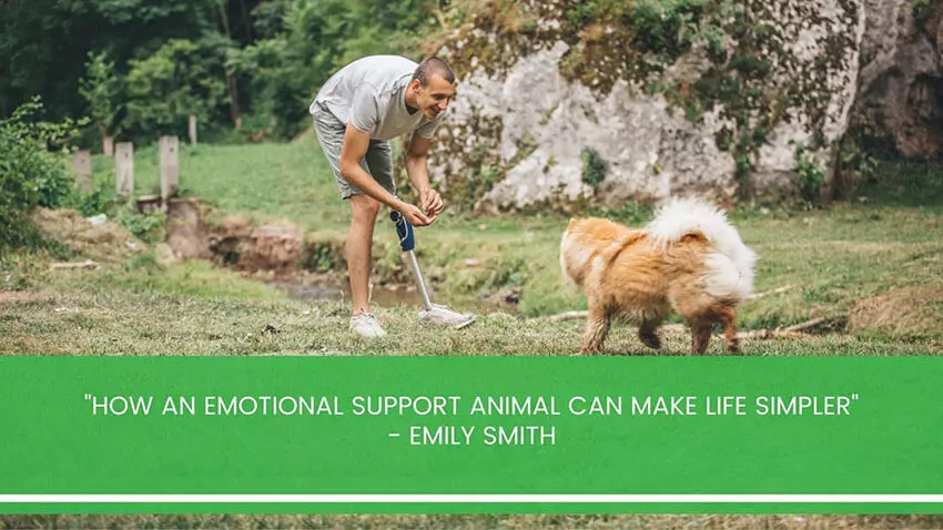Disability Care with the Help of Pets | AvocadoCare blog second