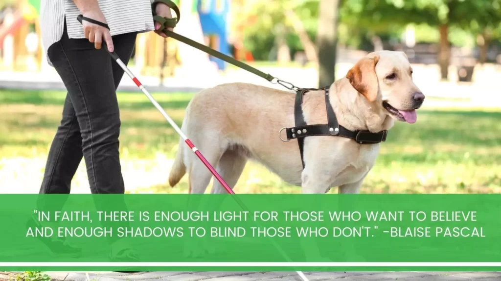 Knowing Blind People’s Lives Getting Into the Light | AvocadoCare Blog second