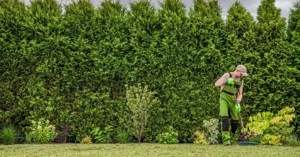 Garden and Yard Maintenance - What Can the NDIS Cover main