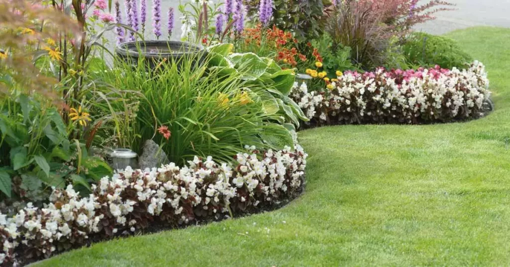 Ideas for a Beautiful, Low Maintenance Front Yard | Avocadocare main